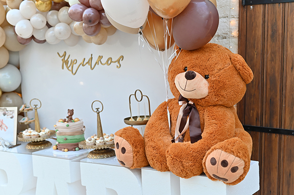sweet-fall-baptism-boy-nicosia-balloons-themed-bear_15