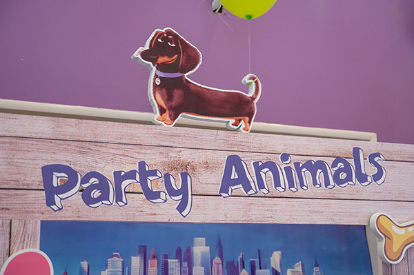 colorful-decoration-ideas-birthday-party-theme-the-secret-life-of-pets_03