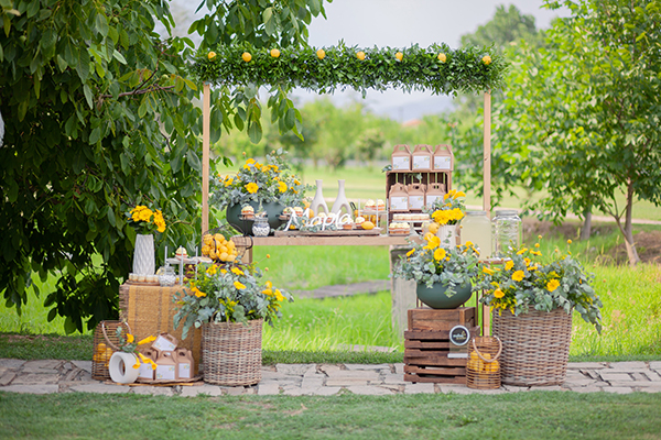 rustic-chic-decorative-ideas-girl-baptism-lemon-themed_01