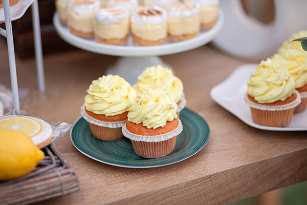 rustic-chic-decorative-ideas-girl-baptism-lemon-themed_03