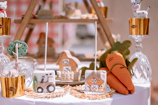boy-baptism-ideas-little-farmer-theme_04