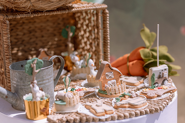 boy-baptism-ideas-little-farmer-theme_08