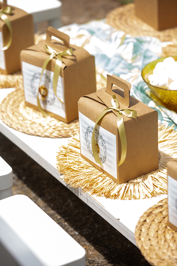 spring-boy-baptism-lion-theme_02