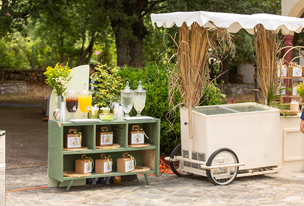 spring-boy-baptism-lion-theme_03