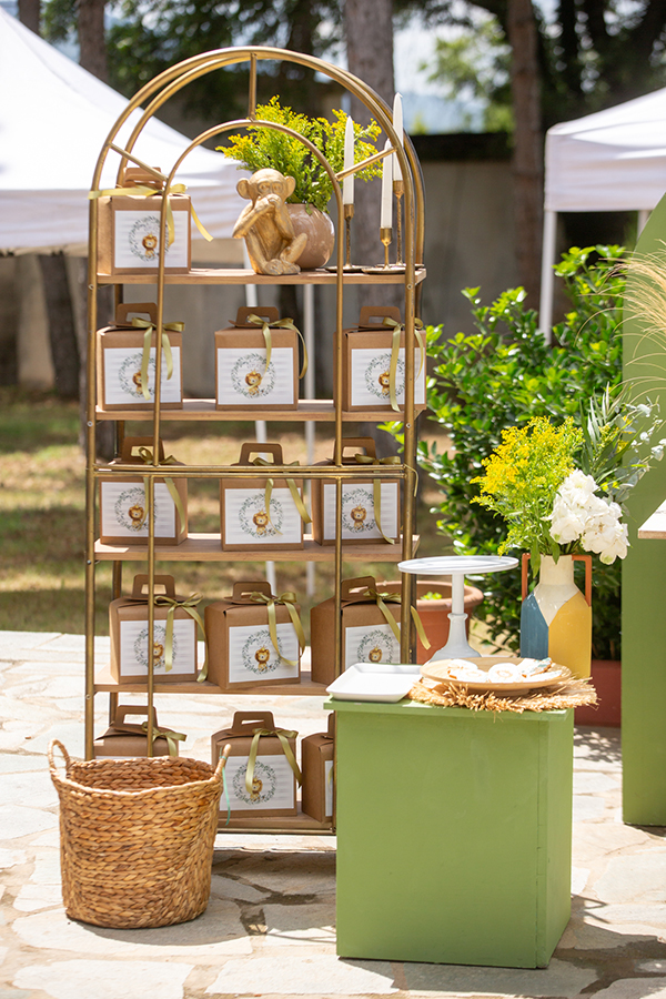 spring-boy-baptism-lion-theme_04