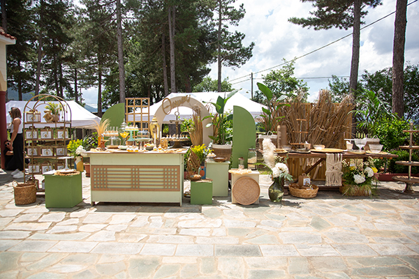 spring-boy-baptism-lion-theme_05