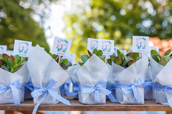 mr-rabbit-themed-baptism-ideas_03