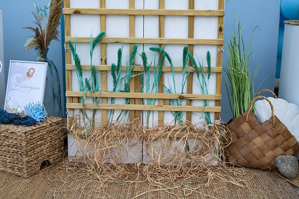 boy-baptism-decor-ideas-under-the-sea_09