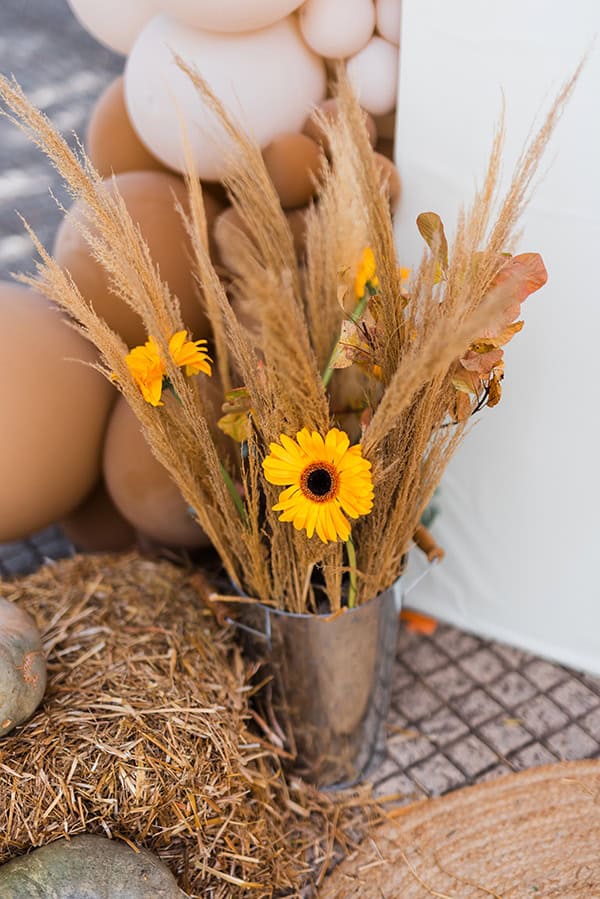 boy-baptism-decoration-ideas-pumpkin-theme_02