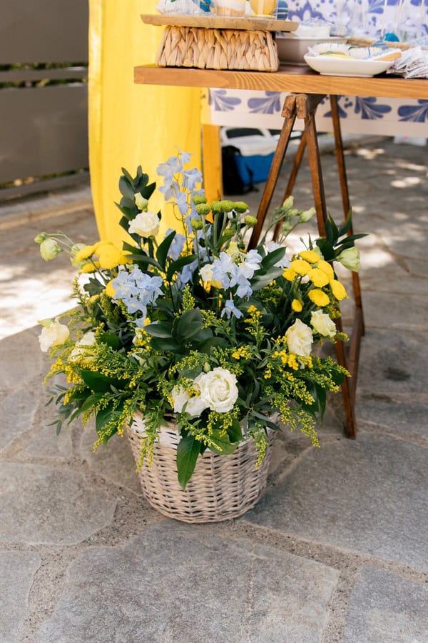 ideas-decorative-boy-chinoiserie-patternsp-lemons_17