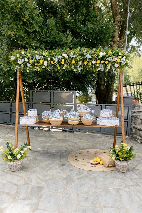 ideas-decorative-boy-chinoiserie-patternsp-lemons_19