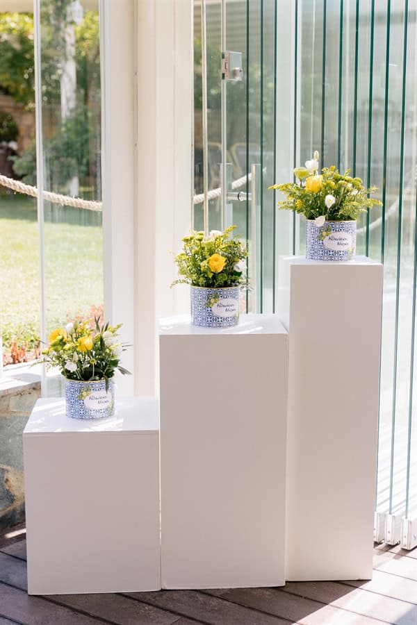 ideas-decorative-boy-chinoiserie-patternsp-lemons_23