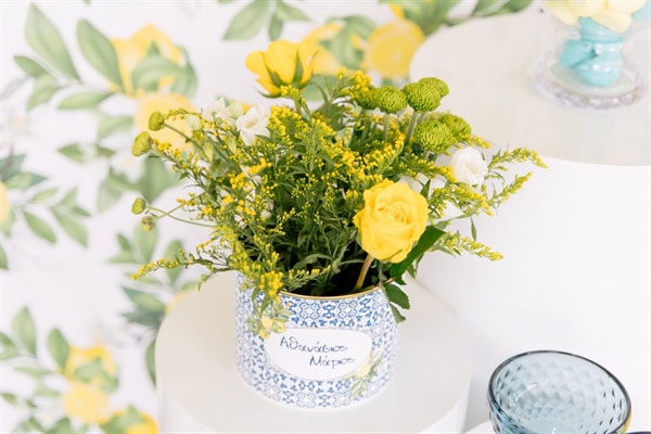 ideas-decorative-boy-chinoiserie-patternsp-lemons_27